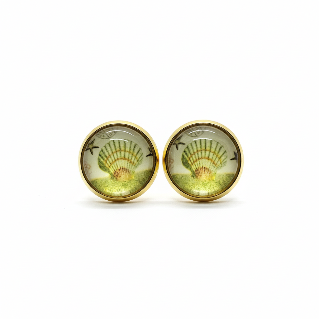 Seashell stud earrings on white background