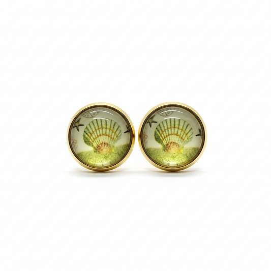 Seashell stud earrings on white background