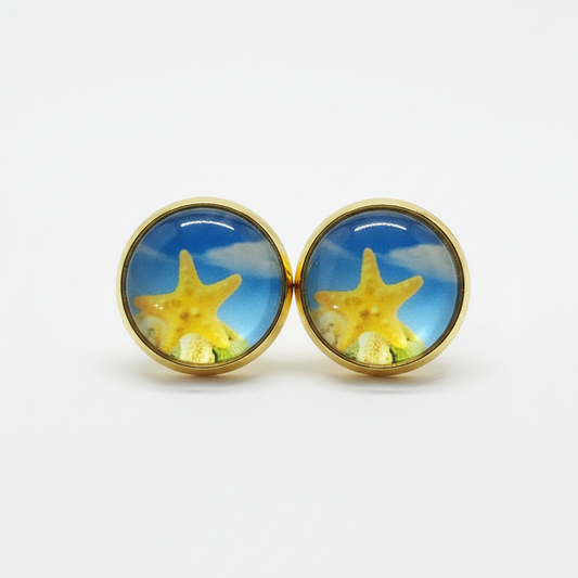 Starfish stud earrings on white background